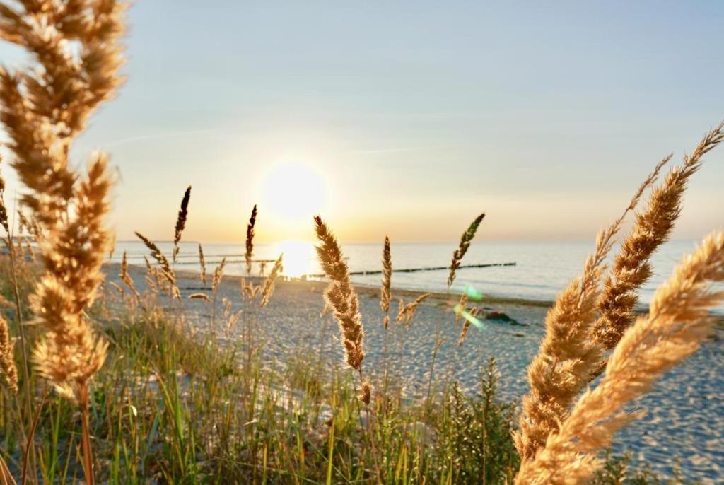 Ferienwohnung Strandurlaub Borgerende-Rethwisch Bagian luar foto