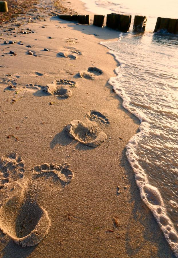 Ferienwohnung Strandurlaub Borgerende-Rethwisch Bagian luar foto